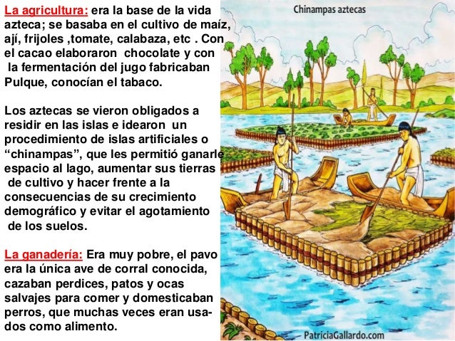 Power Aztecas