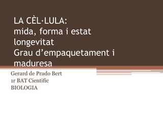 LA CÈL·LULA:
mida, forma i estat
longevitat
Grau d’empaquetament i
maduresa
Gerard de Prado Bert
1r BAT Cientific
BIOLOGIA

 