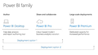 Power BI family
 