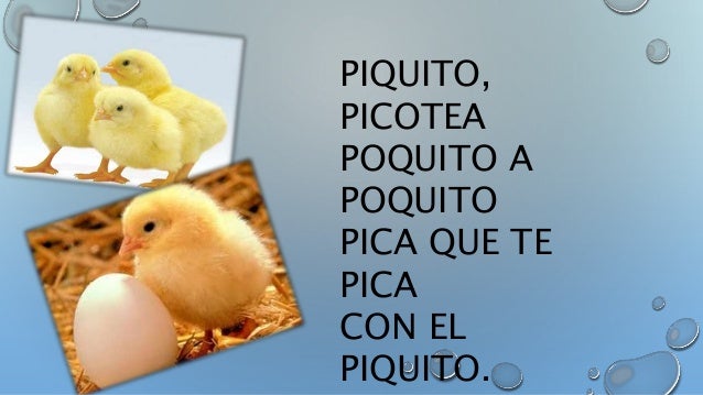 Resultado de imagen para PIQUITO PICOTEA