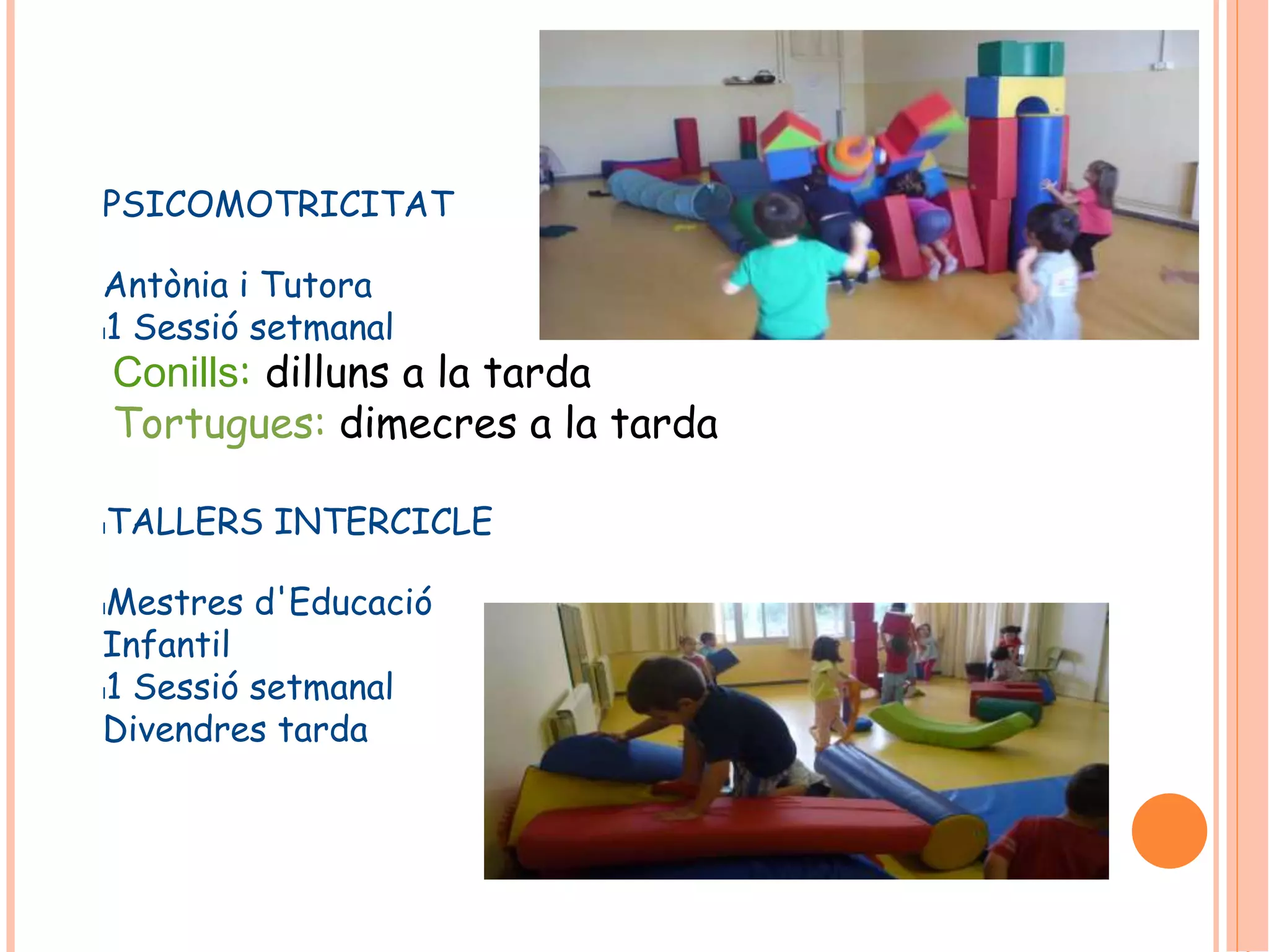 PSICOMOTRICITAT 
Antònia i Tutora 
l1 Sessió setmanal 
Conills: dilluns a la tarda 
Tortugues: dimecres a la tarda 
lTALLERS INTERCICLE 
lMestres d'Educació 
Infantil 
l1 Sessió setmanal 
Divendres tarda 
 