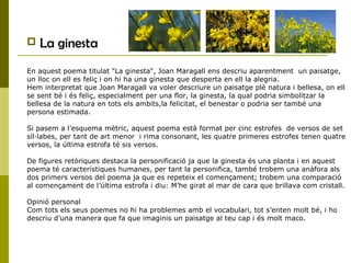  La ginesta
En aquest poema titulat "La ginesta", Joan Maragall ens descriu aparentment un paisatge,
un lloc on ell es feliç i on hi ha una ginesta que desperta en ell la alegria.
Hem interpretat que Joan Maragall va voler descriure un paisatge plè natura i bellesa, on ell
se sent bé i és feliç, especialment per una flor, la ginesta, la qual podria simbolitzar la
bellesa de la natura en tots els ambits,la felicitat, el benestar o podria ser també una
persona estimada.
Si pasem a l’esquema mètric, aquest poema està format per cinc estrofes de versos de set
síl·labes, per tant de art menor i rima consonant, les quatre primeres estrofes tenen quatre
versos, la última estrofa té sis versos.
De figures retòriques destaca la personificació ja que la ginesta és una planta i en aquest
poema té característiques humanes, per tant la personifica, també trobem una anàfora als
dos primers versos del poema ja que es repeteix el començament; trobem una comparació
al començament de l’última estrofa i diu: M’he girat al mar de cara que brillava com cristall.
Opinió personal
Com tots els seus poemes no hi ha problemes amb el vocabulari, tot s’enten molt bé, i ho
descriu d’una manera que fa que imaginis un paisatge al teu cap i és molt maco.
 