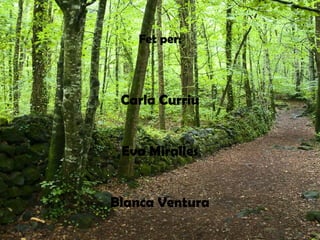 Fet per:
Carla Curriu
Eva Miralles
Blanca Ventura
 