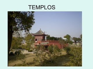 TEMPLOS