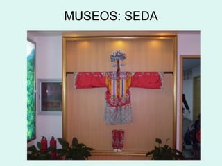 MUSEOS: SEDA