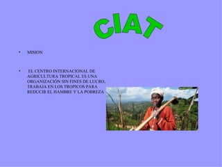 MISION EL CENTRO INTERNACIONAL DE AGRICULTURA TROPICAL ES UNA ORGANIZACIÓN SIN FINES DE LUCRO, TRABAJA EN LOS TROPICOS PARA REDUCIR EL HAMBRE Y LA POBREZA CIAT 