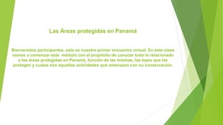 Las Áreas protegidas en Panamá
Bienvenidos participantes, este es nuestro primer encuentro virtual. En esta clase
vamos a comenzar este módulo con el propósito de conocer todo lo relacionado
a las áreas protegidas en Panamá, función de las mismas, las leyes que las
protegen y cuales son aquellas actividades que amenazan con su conservación.
 