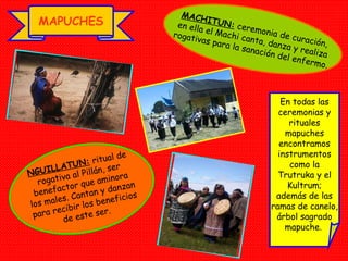 MAPUCHES MACHITUN:  ceremonia de curación, en ella el Machi canta, danza y realiza rogativas para la sanación del enfermo. NGUILLATUN:  ritual de rogativa al Pillán, ser benefactor que aminora los males. Cantan y danzan para recibir los beneficios de este ser. En todas las ceremonias y rituales mapuches encontramos instrumentos como la Trutruka y el Kultrum; además de las ramas de canelo, árbol sagrado mapuche.  
