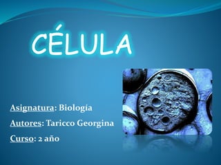 CÉLULA
Asignatura: Biología
Autores: Taricco Georgina
Curso: 2 año
 