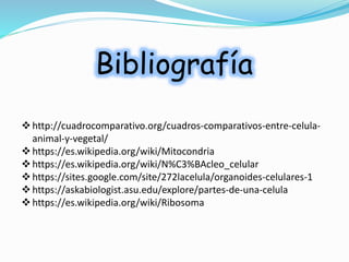 Bibliografía
http://cuadrocomparativo.org/cuadros-comparativos-entre-celula-
animal-y-vegetal/
https://es.wikipedia.org/wiki/Mitocondria
https://es.wikipedia.org/wiki/N%C3%BAcleo_celular
https://sites.google.com/site/272lacelula/organoides-celulares-1
https://askabiologist.asu.edu/explore/partes-de-una-celula
https://es.wikipedia.org/wiki/Ribosoma
 