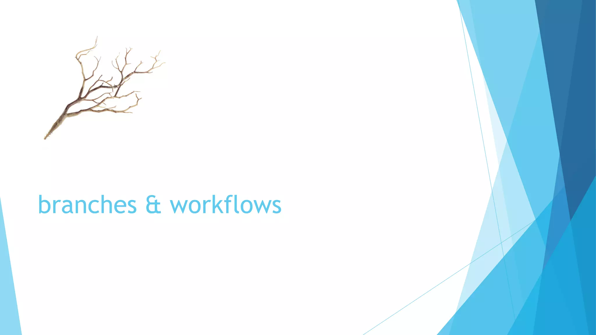 branches & workflows
 