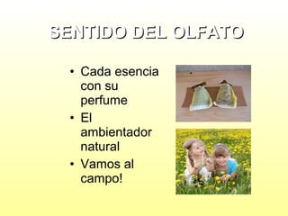 SENTIDO DEL OLFATO
• Cada esencia
con su
perfume
• El
ambientador
natural
• Vamos al
campo!

 