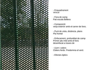 - Enquadrament
Vertical
- Fora de camp
Pati escola Bellera
- Composició
verja exterior amb el carrer de fons.
- Punt de vista, distància, plans
Pla frontal
- Enfocament, profunditat de camp
Primer pla nítid amb el fons
desenfocat a traves de
- Llum i colors
Clolors ferds. Predomina el verd.
- Efectes òptics
 