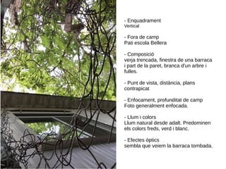 - Enquadrament
Vertical
- Fora de camp
Pati escola Bellera
- Composició
verja trencada, finestra de una barraca
i part de la paret, branca d'un arbre i
fulles.
- Punt de vista, distància, plans
contrapicat
- Enfocament, profunditat de camp
Foto generalment enfocada.
- Llum i colors
Llum natural desde adalt. Predominen
els colors freds, verd i blanc.
- Efectes òptics
sembla que veiem la barraca tombada.
 