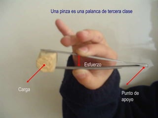 Una pinza es una palanca de tercera clase Carga Punto de apoyo Esfuerzo 