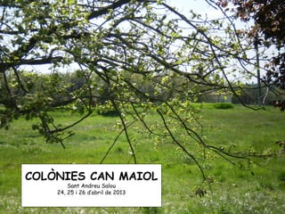 COLÒNIES CAN MAIOL
        Sant Andreu Salou
    24, 25 i 26 d’abril de 2013
 