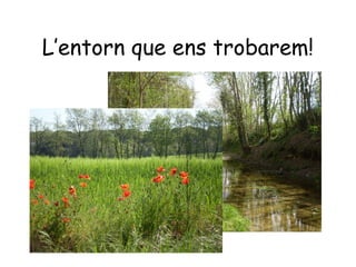 L’entorn que ens trobarem!
 