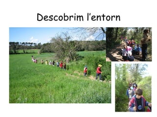 Descobrim l’entorn
 