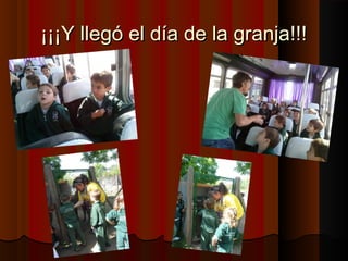 ¡¡¡¡¡¡YY lllleeggóó eell ddííaa ddee llaa ggrraannjjaa!!!!!! 
 