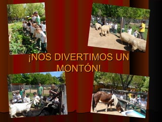 ¡¡NNOOSS DDIIVVEERRTTIIMMOOSS UUNN 
MMOONNTTÓÓNN!! 
