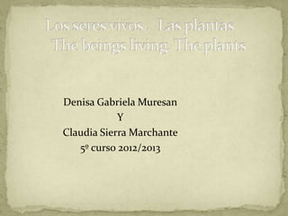 Denisa Gabriela Muresan
            Y
Claudia Sierra Marchante
   5º curso 2012/2013
 