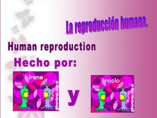 La reproducción humana. Hecho por: y Human reproduction 