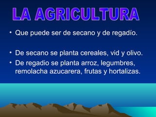• Que puede ser de secano y de regadío.

• De secano se planta cereales, vid y olivo.
• De regadio se planta arroz, legumbres,
  remolacha azucarera, frutas y hortalizas.
 