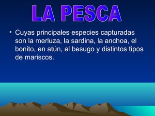• Cuyas principales especies capturadas
  son la merluza, la sardina, la anchoa, el
  bonito, en atún, el besugo y distintos tipos
  de mariscos.
 