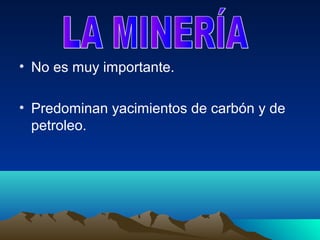 • No es muy importante.

• Predominan yacimientos de carbón y de
  petroleo.
 