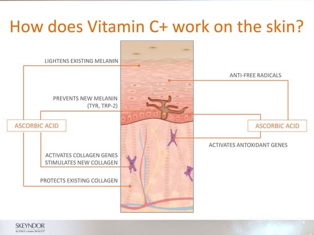 POWER C+ Powerpoint NEW.pptx