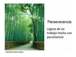 Logros de un trabajo hecho con persistencia AMPARO PEREZ SERRA