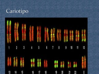 Power de 2° medio material genetico