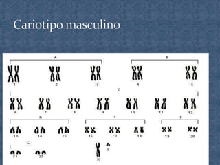 Power de 2° medio material genetico