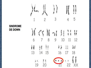 Power de 2° medio material genetico