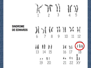 Power de 2° medio material genetico