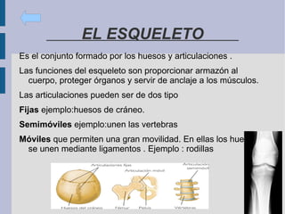 Órganos de los sentidos La pituitaria de la nariz: el órgano del olfato 