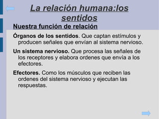 La relación humana:los sentidos Nuestra función de relación 