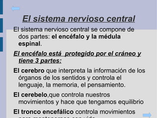 Los ojos captan la luz que entra por la pupila y pasa al cristalino. Este la enfoca en la retina donde se forma una imagen. La retina produce señales que se envían al sistema nervioso por el  nervio   óptico . 