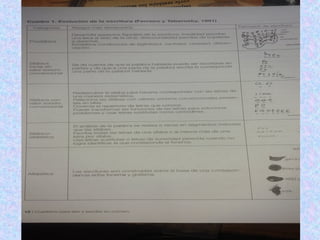 Power de escritura 2016