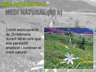 Crèdit teòricopràctic
de 2h/setmana
durant tot el curs que
ens permetrà
analitzar i conèixer el
medi natural.
 