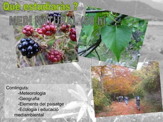 Continguts:
     -Meteorologia
     -Geografia
     -Elements del paisatge
     -Ecologia i educació
   mediambiental
 