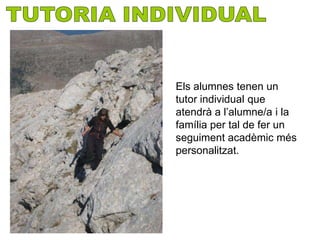 Els alumnes tenen un
tutor individual que
atendrà a l’alumne/a i la
família per tal de fer un
seguiment acadèmic més
personalitzat.
 