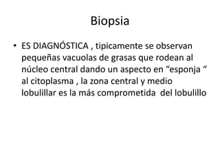 Biopsia
• ES DIAGNÓSTICA , tipicamente se observan
pequeñas vacuolas de grasas que rodean al
núcleo central dando un aspecto en “esponja “
al citoplasma , la zona central y medio
lobulillar es la más comprometida del lobulillo
 