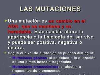 LAS MUTACIONESLAS MUTACIONES
►Una mutacíón esUna mutacíón es un cambio en elun cambio en el
ADN que se mantiene y esADN que se mantiene y es
heredableheredable. Este cambio altera la. Este cambio altera la
apariencia o la fisiología del ser vivoapariencia o la fisiología del ser vivo
y puede ser positiva, negativa oy puede ser positiva, negativa o
neutra.neutra.
► Según el nivel de alteración se pueden distinguir:Según el nivel de alteración se pueden distinguir:
 Mutaciones génicasMutaciones génicas : si se deben a la alteración: si se deben a la alteración
de una o más bases nitrogenadas.de una o más bases nitrogenadas.
 Mutaciones cromosómicasMutaciones cromosómicas : si afectan a: si afectan a
fragmentos de cromosomas.fragmentos de cromosomas.
 