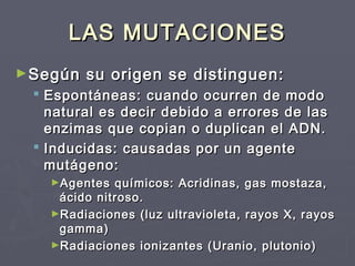 LAS MUTACIONESLAS MUTACIONES
►Según su origen se distinguen:Según su origen se distinguen:
 Espontáneas: cuando ocurren de modoEspontáneas: cuando ocurren de modo
natural es decir debido a errores de lasnatural es decir debido a errores de las
enzimas que copian o duplican el ADN.enzimas que copian o duplican el ADN.
 Inducidas: causadas por un agenteInducidas: causadas por un agente
mutágeno:mutágeno:
►Agentes químicos: Acridinas, gas mostaza,Agentes químicos: Acridinas, gas mostaza,
ácido nitroso.ácido nitroso.
►Radiaciones (luz ultravioleta, rayos X, rayosRadiaciones (luz ultravioleta, rayos X, rayos
gamma)gamma)
►Radiaciones ionizantes (Uranio, plutonio)Radiaciones ionizantes (Uranio, plutonio)
 