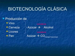 BIOTECNOLOGÍA CLÁSICA
 Producción de
 Vino
 Cerveza Azúcar  Alcohol
 Licores
 Pan Azúcar  CO2 (burbujas huecos del pan)
Levadura
Levadura
 