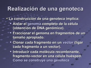 Realización de una genotecaRealización de una genoteca
La construcción de una genoteca implica:La construcción de una genoteca implica:

Aislar elAislar el genomagenoma completo de la célulacompleto de la célula
(obtención de DNA genómico).(obtención de DNA genómico).

Fraccionar el genoma en fragmentos de unFraccionar el genoma en fragmentos de un
tamaño apropiado.tamaño apropiado.

Clonar cada fragmento en unClonar cada fragmento en un vectorvector (ligar(ligar
cada fragmento a un vector).cada fragmento a un vector).

Introducir cada molécula recombinante,Introducir cada molécula recombinante,
fragmento-vector en una célula huésped.fragmento-vector en una célula huésped.
Como se construye una genotecaComo se construye una genoteca
 