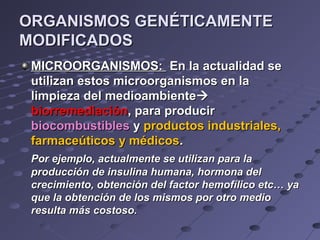 ORGANISMOS GENÉTICAMENTEORGANISMOS GENÉTICAMENTE
MODIFICADOSMODIFICADOS
MICROORGANISMOS:MICROORGANISMOS: En la actualidad seEn la actualidad se
utilizan estos microorganismos en lautilizan estos microorganismos en la
limpieza del medioambientelimpieza del medioambiente
biorremediaciónbiorremediación, para producir, para producir
biocombustiblesbiocombustibles yy productos industriales,productos industriales,
farmaceúticos y médicosfarmaceúticos y médicos..
Por ejemplo, actualmente se utilizan para laPor ejemplo, actualmente se utilizan para la
producción de insulina humana, hormona delproducción de insulina humana, hormona del
crecimiento, obtención del factor hemofílico etc… yacrecimiento, obtención del factor hemofílico etc… ya
que la obtención de los mismos por otro medioque la obtención de los mismos por otro medio
resulta más costoso.resulta más costoso.
 