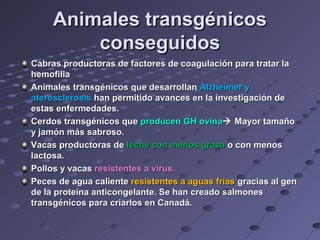 Animales transgénicosAnimales transgénicos
conseguidosconseguidos
Cabras productoras de factores de coagulación para tratar laCabras productoras de factores de coagulación para tratar la
hemofiliahemofilia
Animales transgénicos que desarrollanAnimales transgénicos que desarrollan Alzheimer yAlzheimer y
aterosclerosisaterosclerosis han permitido avances en la investigación dehan permitido avances en la investigación de
estas enfermedades.estas enfermedades.
Cerdos transgénicos queCerdos transgénicos que producen GH ovinaproducen GH ovina Mayor tamañoMayor tamaño
y jamón más sabroso.y jamón más sabroso.
Vacas productoras deVacas productoras de leche con menos grasaleche con menos grasa o con menoso con menos
lactosa.lactosa.
Pollos y vacasPollos y vacas resistentes a virus.resistentes a virus.
Peces de agua calientePeces de agua caliente resistentes a aguas fríasresistentes a aguas frías gracias al gengracias al gen
de la proteína anticongelante. Se han creado salmonesde la proteína anticongelante. Se han creado salmones
transgénicos para criarlos en Canadá.transgénicos para criarlos en Canadá.
 