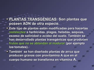 PLANTAS TRANSGÉNICASPLANTAS TRANSGÉNICAS: Son plantas que: Son plantas que
poseen ADN de otra especie.poseen ADN de otra especie.
Este tipo de plantas están modificadas para hacerlasEste tipo de plantas están modificadas para hacerlas
resistentesresistentes a herbicidasa herbicidas, plagas, heladas, sequías,, plagas, heladas, sequías,
exceso de salinidad o acidez del suelo. También seexceso de salinidad o acidez del suelo. También se
han desarrollado plantas transgénicas que producenhan desarrollado plantas transgénicas que producen
frutos que no se ablandan al madurarfrutos que no se ablandan al madurar (por ejemplo(por ejemplo
los tomates).los tomates).
También se han diseñado plantas de arroz queTambién se han diseñado plantas de arroz que
producen granos con provitamina A que en elproducen granos con provitamina A que en el
cuerpo humano se transforma en vitaminacuerpo humano se transforma en vitamina A.A.
 
